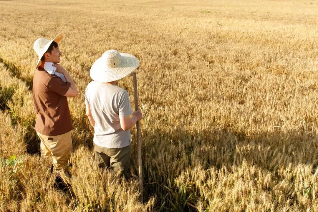 1100万人选择返乡，若何助力他们干事创业？