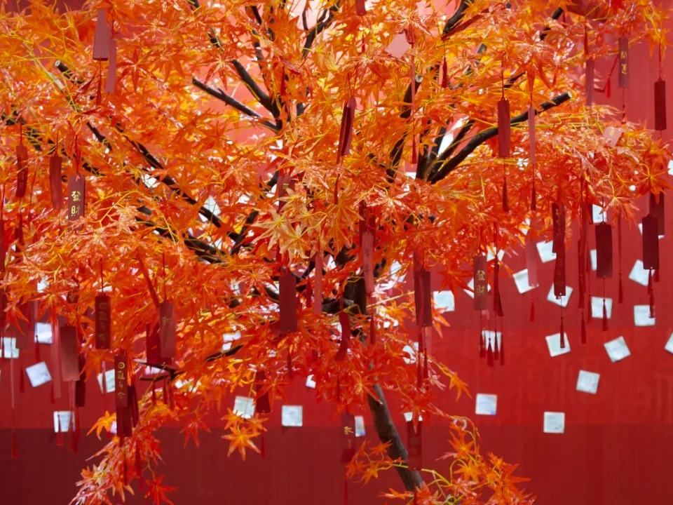 J9集团国际(中国)-官方网站