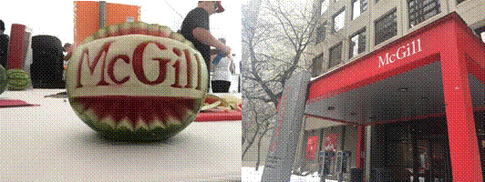 6A9C17989D7BE5CB1EE50B9AF7A_F1E6F9EA_90C8