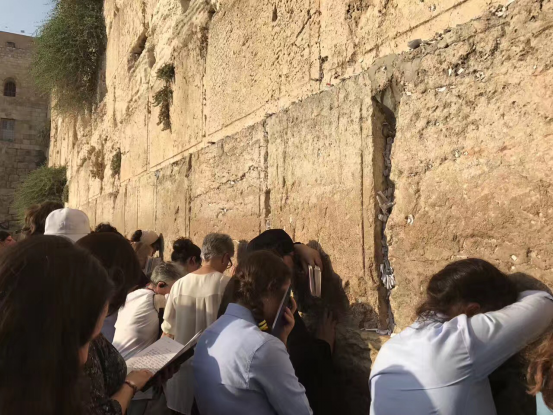 4EF21A05975232A47FB3E3CBD57_8D58F6AD_E1027