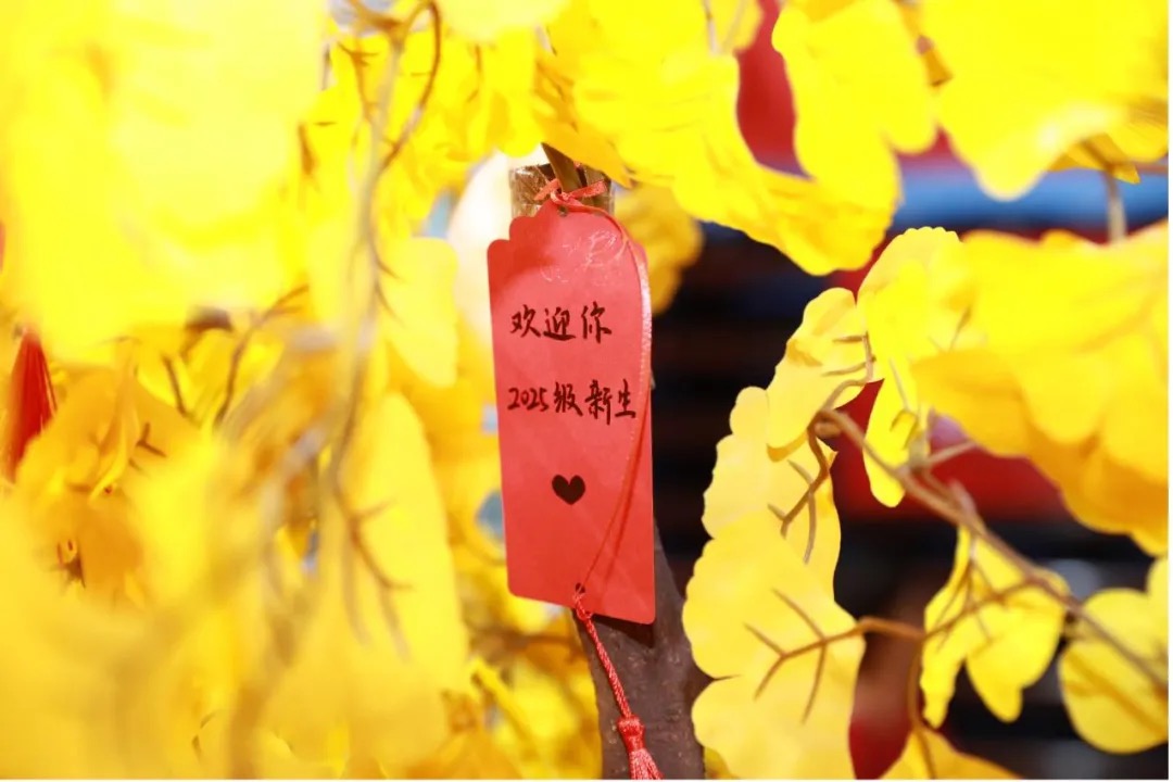 FC5D41DAA258E14945C5CA8DF4E_FFCD1D95_1E0CE