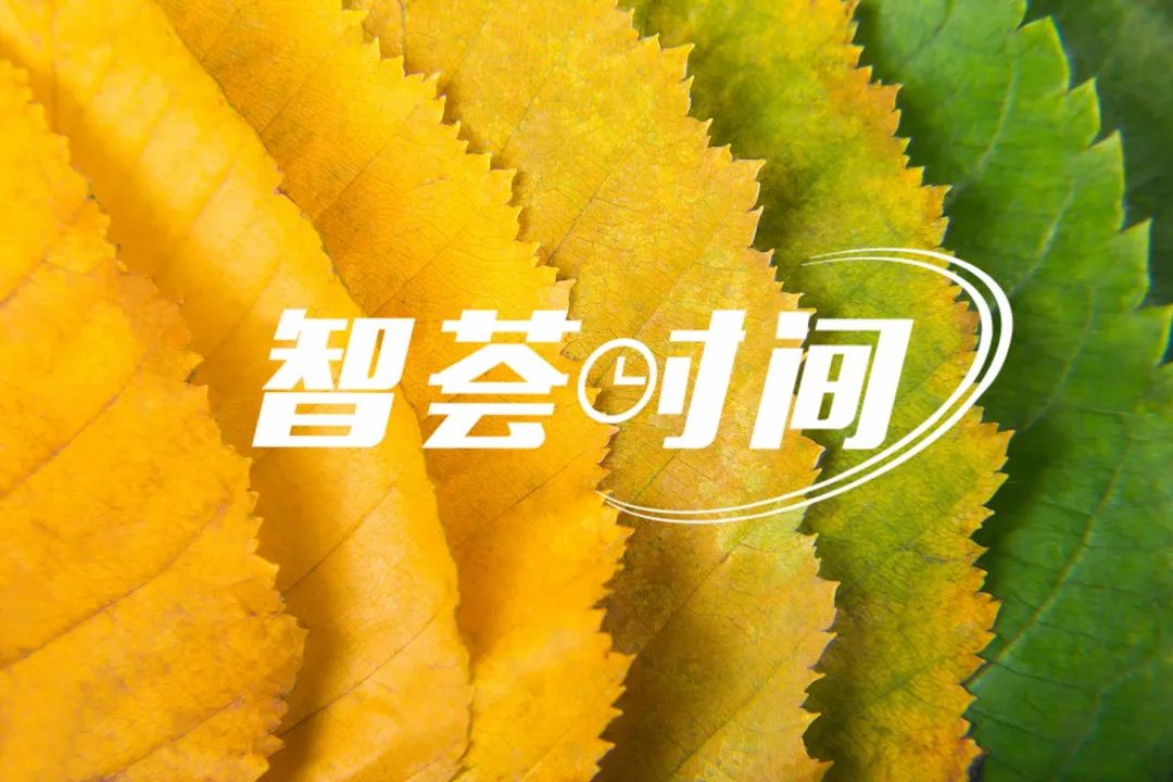 FADBCB54B905869799ED5AB7C5F_DED799A6_19460