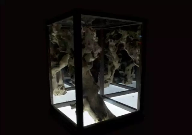 J9集团国际(中国)-官方网站