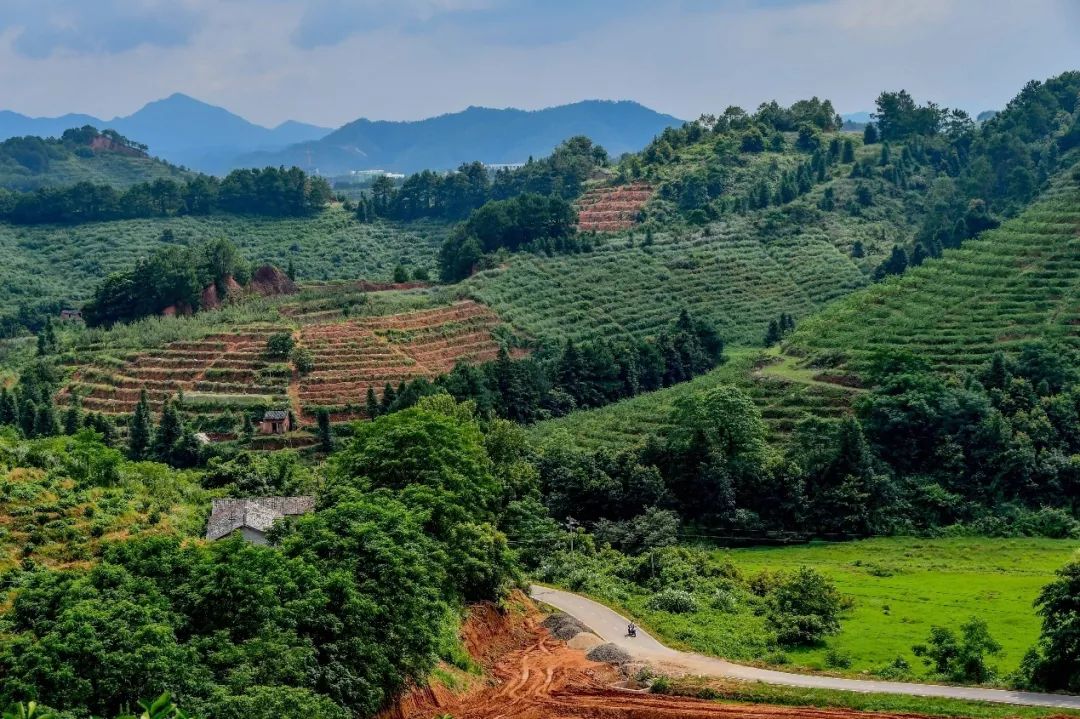 J9���Ź���(�й�)-�ٷ���վ