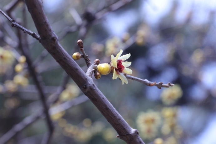 J9集团国际(中国)-官方网站