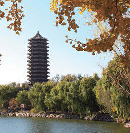 J9集团国际(中国)-官方网站