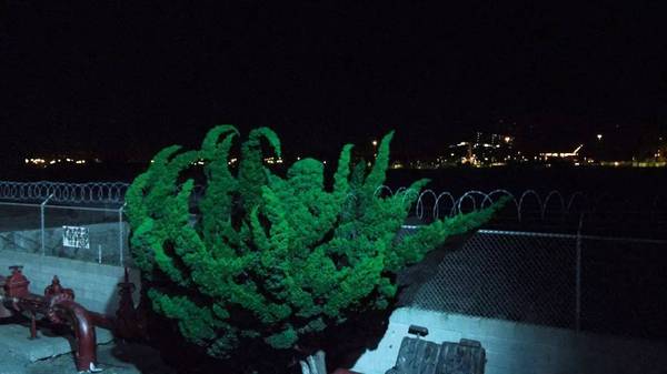 J9集团国际(中国)-官方网站