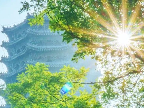 J9集团国际(中国)-官方网站