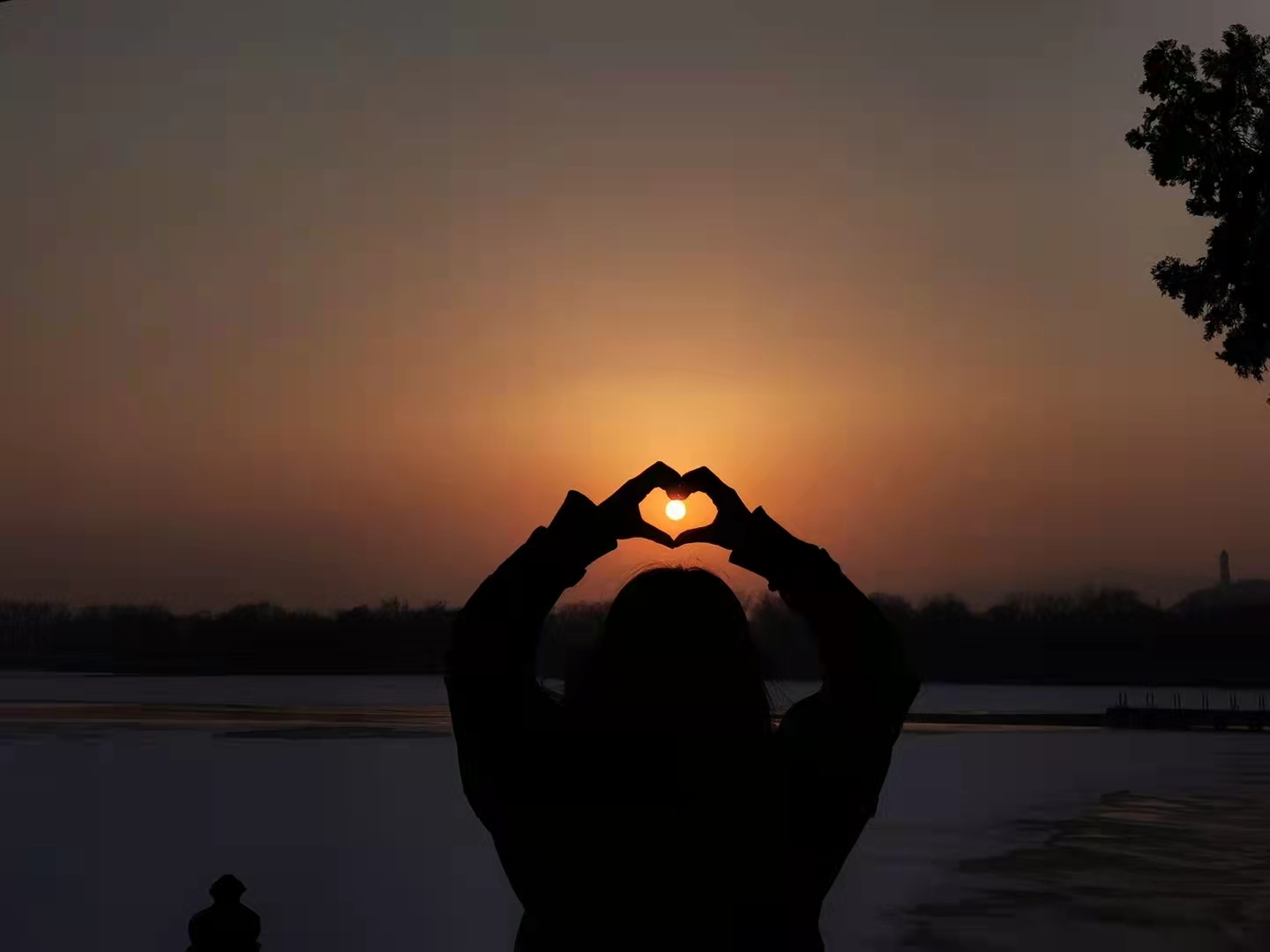 J9���Ź���(�й�)-�ٷ���վ