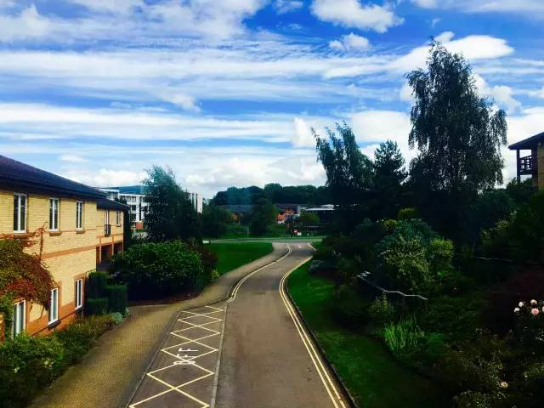 技术是建行，品牌是沉淀?