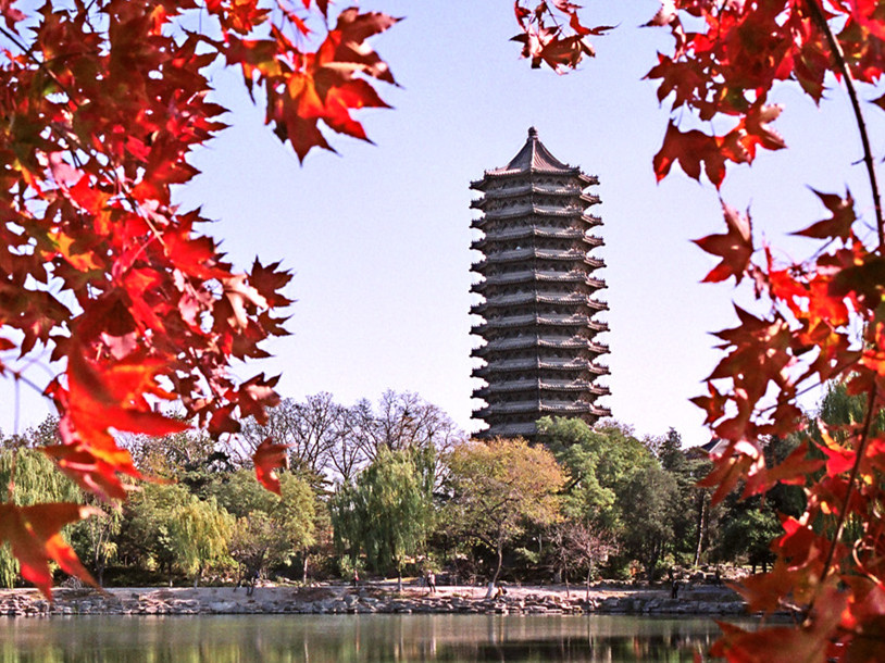  招生丨2020年北大J9集团国际全日造管帐、审计硕士项目报名启动