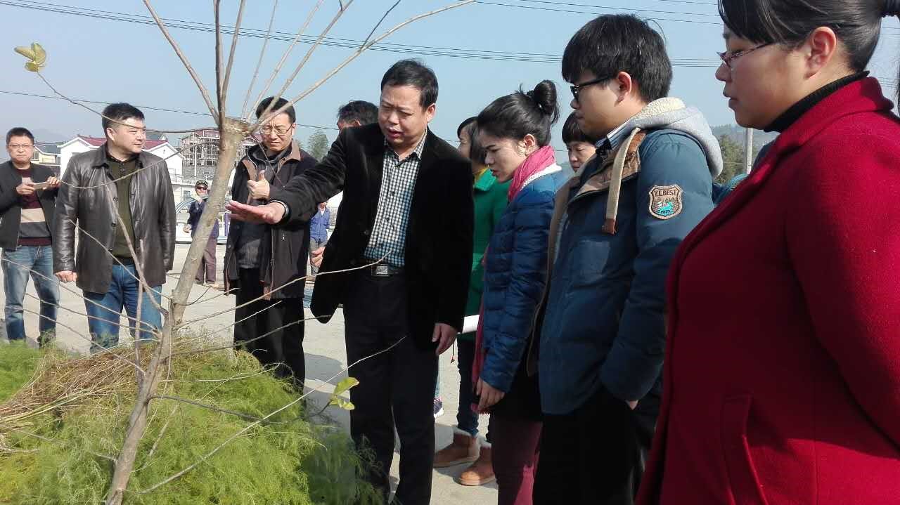 E92804728D7F6A1715ECFCCD537_405FEA68_2916F.jpg?e= J9集团国际(中国)-官方网站