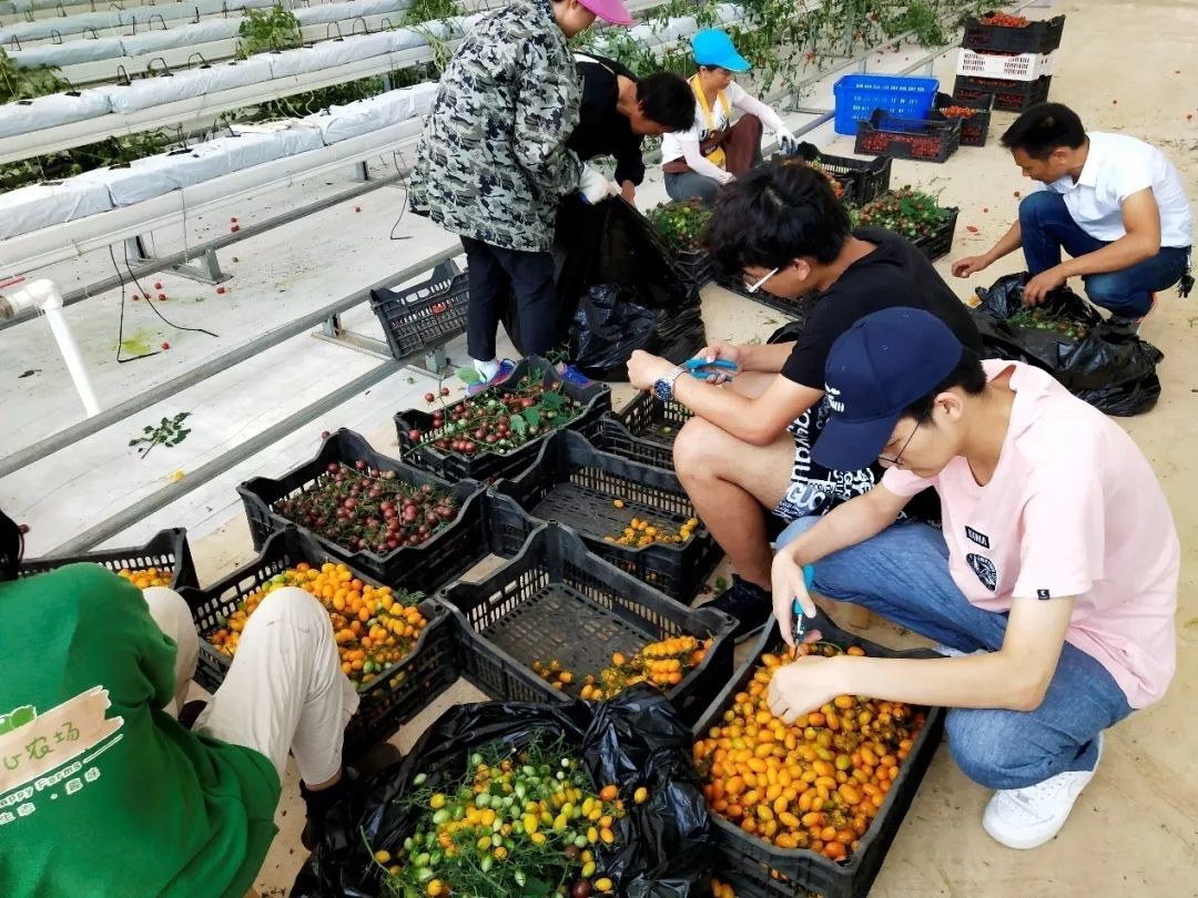 672669B230305681472D6966FE2_CE293B1D_31941