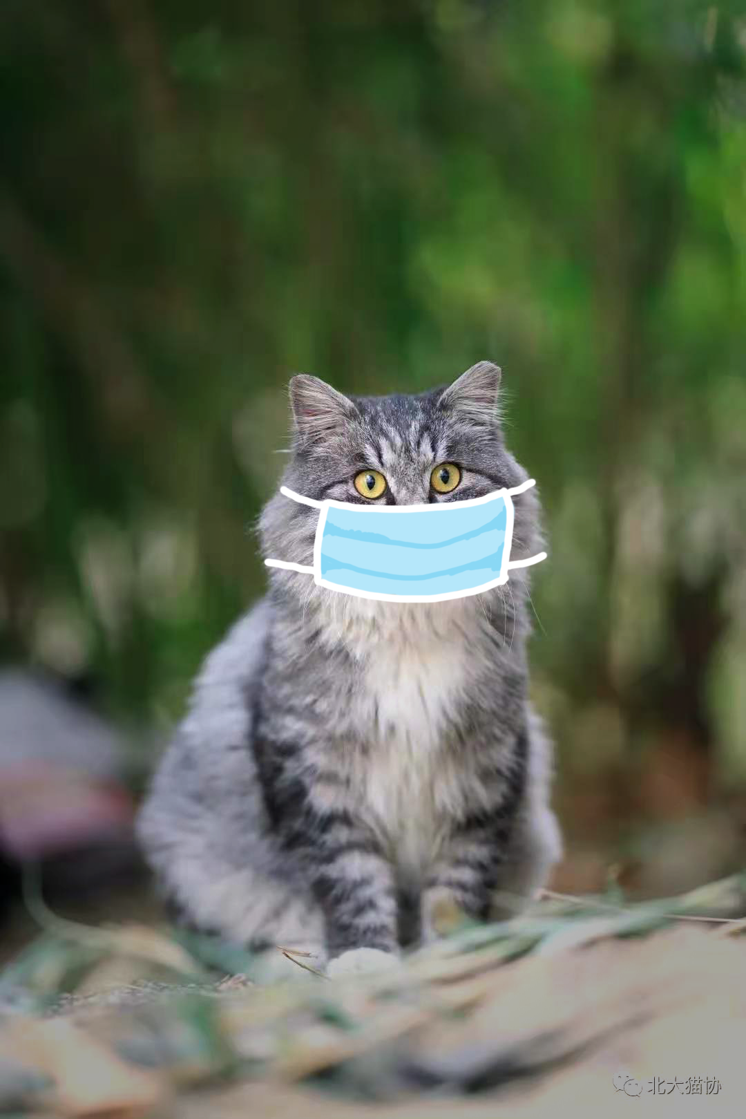 ABF24ED9DA0999B6D9E57202289_9C250A21_1024E6