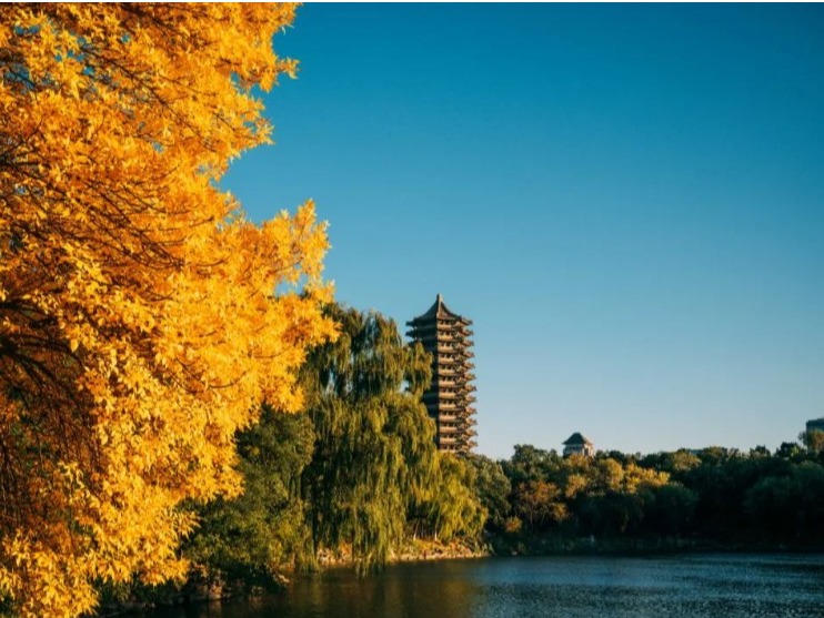 J9集团国际(中国)-官方网站