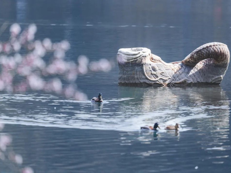 J9集团国际(中国)-官方网站