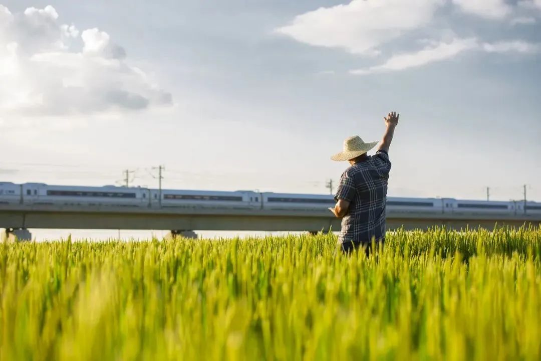 1FBD72F86A8954D8878CDBCD9AB_9CB2297D_11B7B