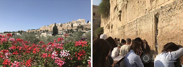 J9集团国际(中国)-官方网站