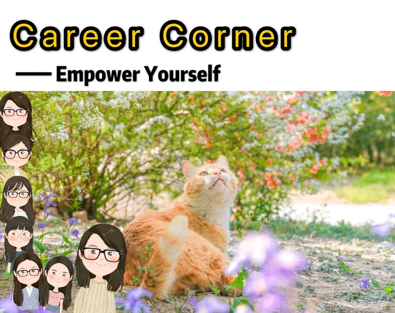 2E2D1B547BD3939961E4BA18312_4ACECD88_3CE83