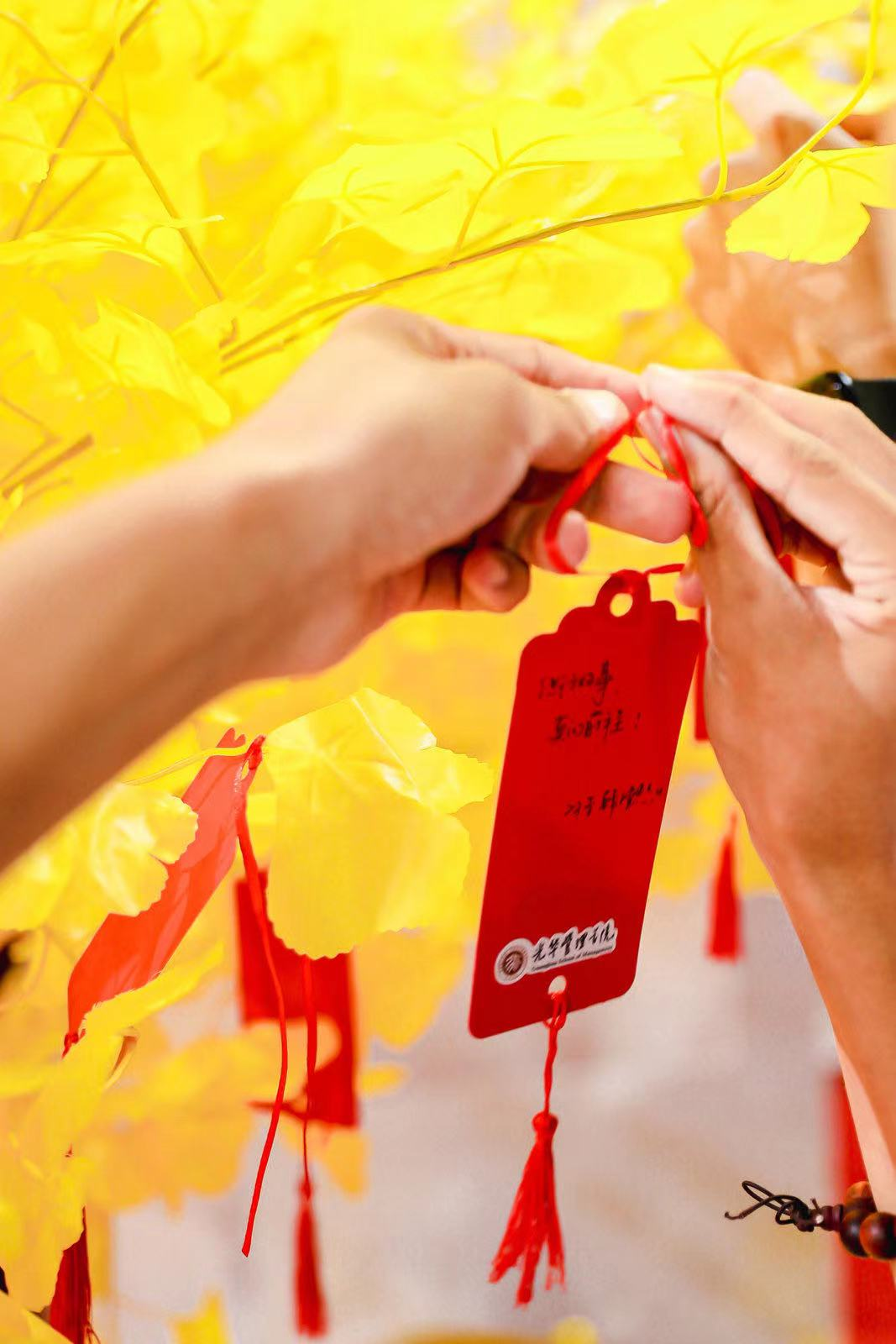 2CF9F70226BD86FC92A6E922446_87D90E9A_15AC00