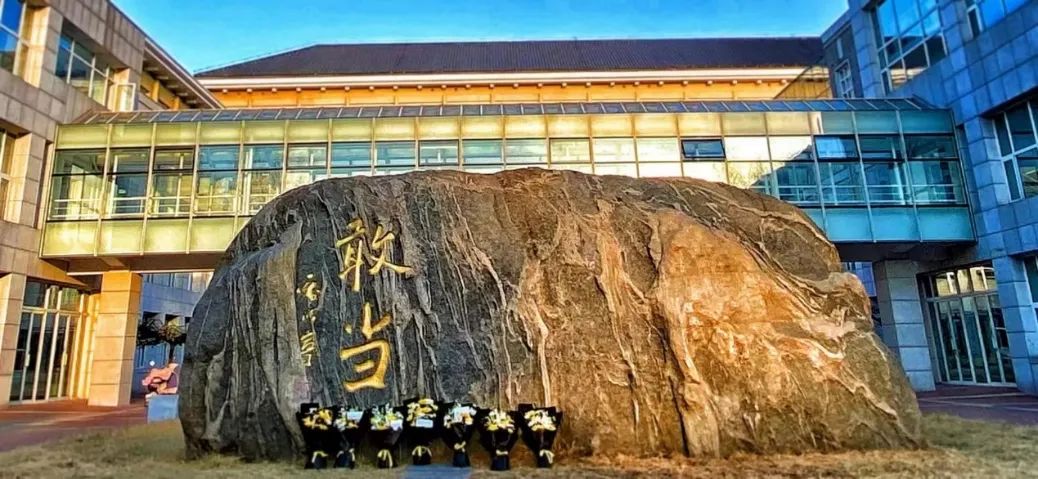 A0F2B8CA579B13E94643CEA1123_DA2AEACC_1E52B